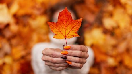 Маникюр есен 2020: Кои цветове ще са актуални?