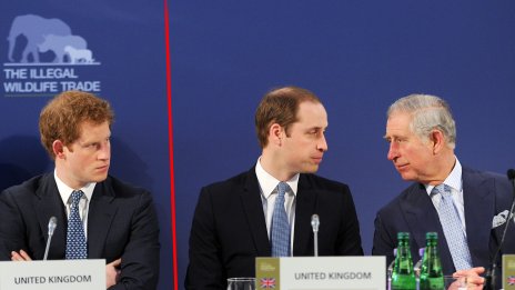 Експерт: Чарлз няма да направи компромис с Хари и Меган 