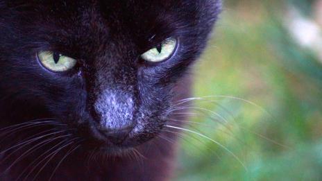 Петък 13-и – ще имаме ли лош късмет?