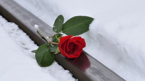 Алекс Сърчаджиева към Иван Ласкин: Толкова много те обичам 