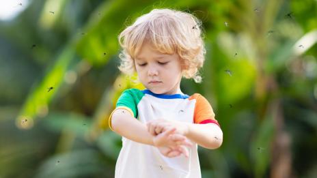 6 домашни лека срещу ухапване от комар