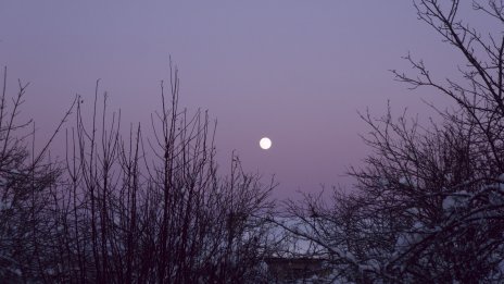 Как февруарското пълнолуние ще се отрази на вашия зодиакален знак