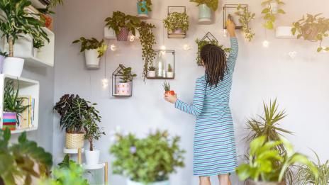 Според зодията: Кое е най-доброто стайно растение за вас? (1 част)