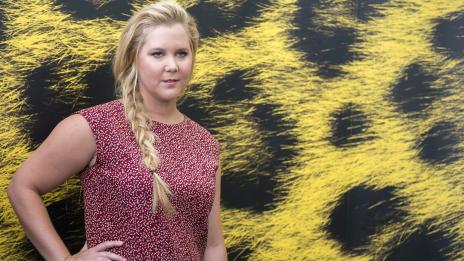 Ейми Шумър се отказва от инвитро процедурите