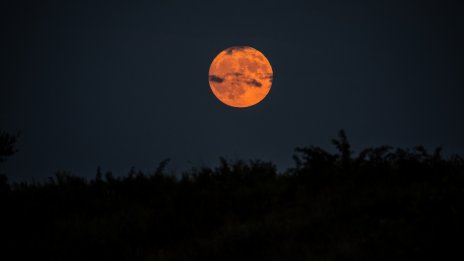 Пълнолуние в Овен – как ще се отрази на вашата зодия