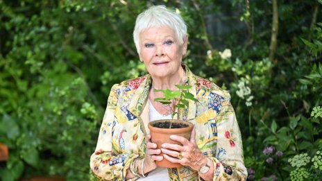 Зрението на Джуди Денч се влошава – вече не може да разпознава хора