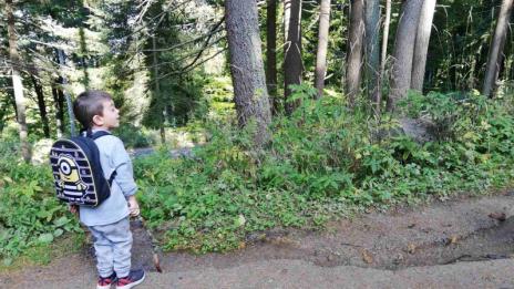 Уикенд дестинация: С деца на Витоша 