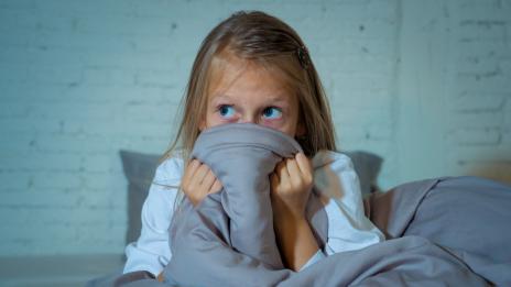 Кошмарите са полезни за мозъка