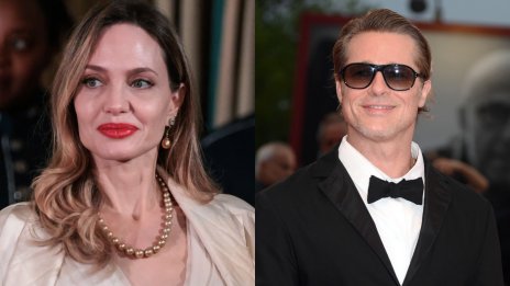 Анджелина Джоли продала 50% от семейните лозя на руски олигарх