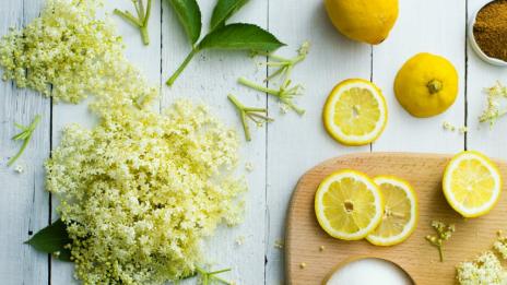 Швепс от бъз – как да го приготвим? 