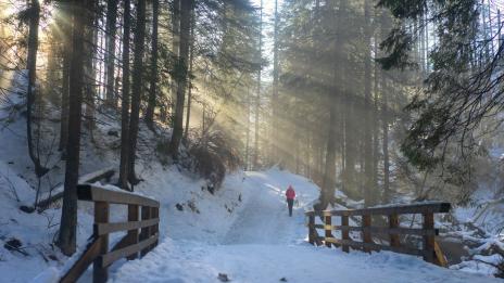 Хороскопът ви за 1 февруари