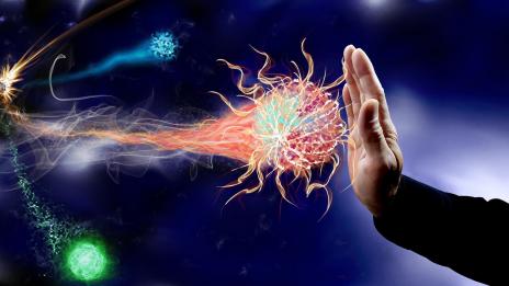 5 лесни рецепти за силен имунитет