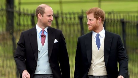 Принц Хари и принц Уилям имат „таен“ код, който да използват само при криза
