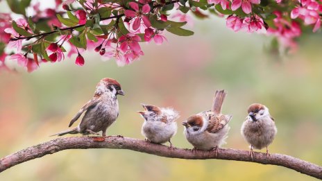 Месечен хороскоп за май – какво да очаква всяка зодия?