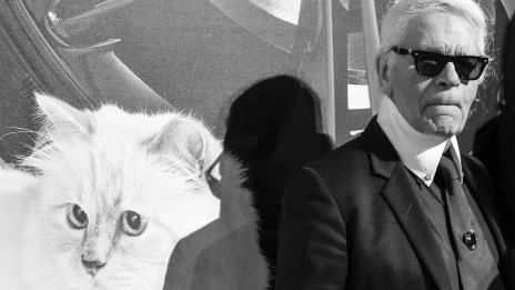 Котката на Карл Лагерфелд – на корицата на Vogue