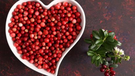 6 ползи от консумацията на червени боровинки