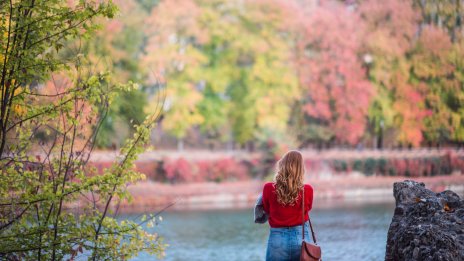 Хороскопът ви за 29 октомври