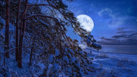 Пълнолуние през декември – какво да очаквате? 
