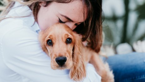 Искате куче? Обмислете това