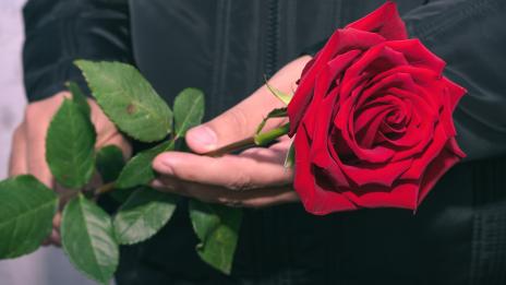 Фики показа любовта на живота си