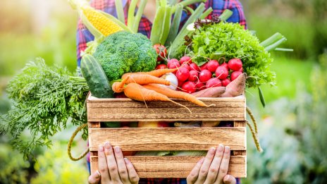 Диета за есента: Какви здравословни храни да ядем