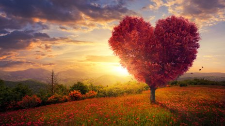 Седмичен хороскоп – какво да очаквате?