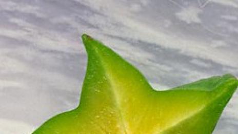 Петъчен музикален звездопад