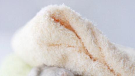 Малки деца и животинки накуп? По-добре не