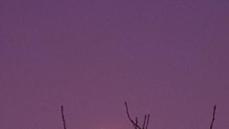 Тимо Маас: Петъчно ПълноЛудие