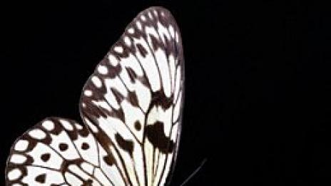 Техно-пашкул в събота вечер