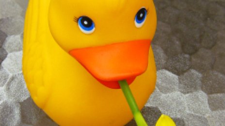 Гледай я в очите. В очите!