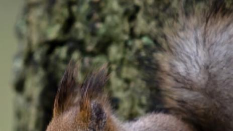 Страх от обвързване? Хайде стига! - трета част