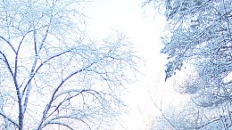 Секс обиколка: Швеция