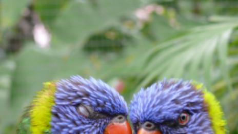 Секс без митове – част трета