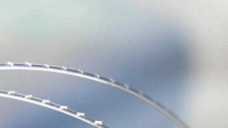 Конци за подмладяване