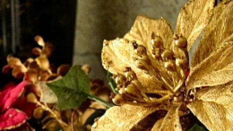 Пуканки и шишарки в коледната украса