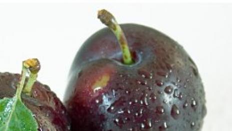 Тегло под контрол. С Tialoto.bg