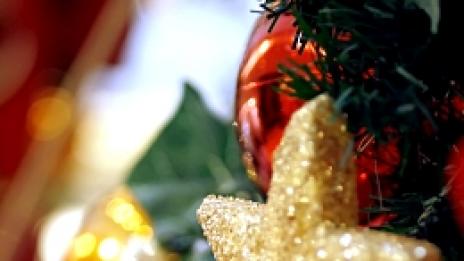 Честна скаутска. Тази година ще изпълня всичките си обещания