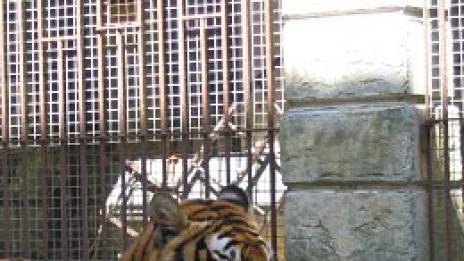 Приключенията продължават: Форт Бояр 2