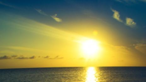 Тонус посред зима