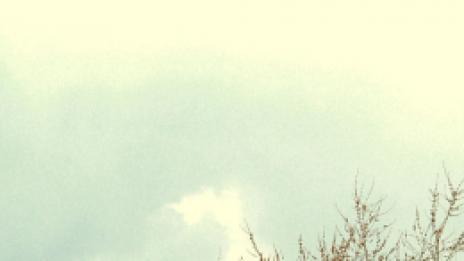 Самичка още няколко минути