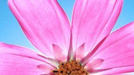 Не се лишавайте от &quot;слънчевия&quot; витамин, твърде полезен е