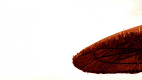 Прегаряш ли?