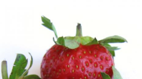 Лятно удоволствие за зимна кожа