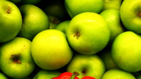 Веганизъм без недостатъци