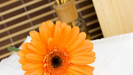 Един цвят – оранжево