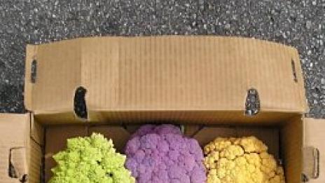 Хрупкавите розички се завръщат