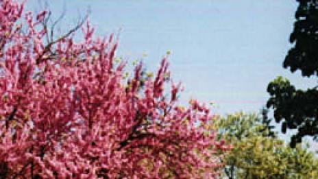 Малък град с големи възможности