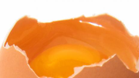 Пролетно домашно разкрасяване