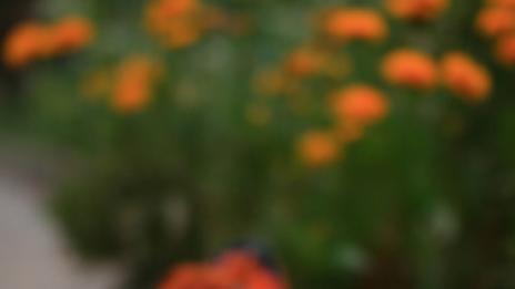 Брой и се стягай